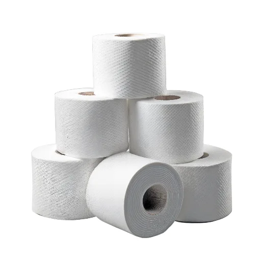 1-PLY RECYLCED TOILET PAPER 48'S