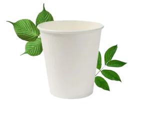 250ML BIODEGRADABLE DOUBLE WALL CUP (PLAIN) 500'S