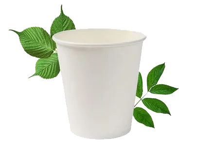 250ML BIODEGRADABLE DOUBLE WALL CUP (PLAIN) 500'S