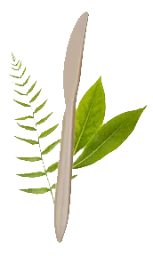 eco-friendly cutlery