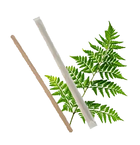 WOODEN STIRRING STICKS - 140MM 1000'S